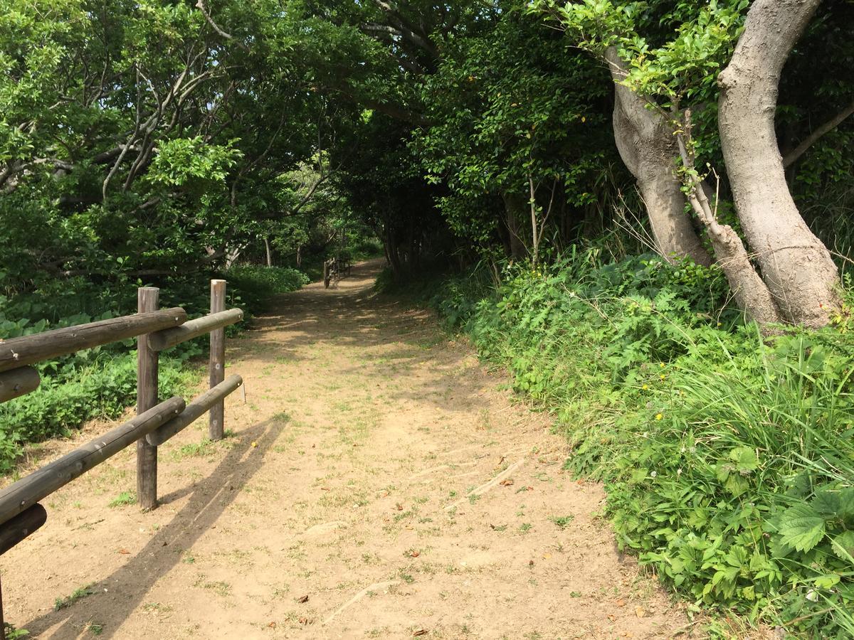 Tonosaki Bungalow & Bbq Tsushima  Εξωτερικό φωτογραφία